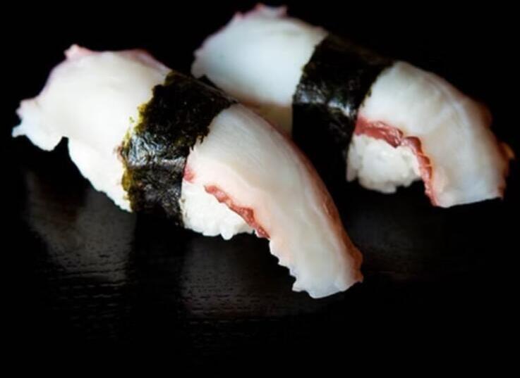 Tako - Octopus